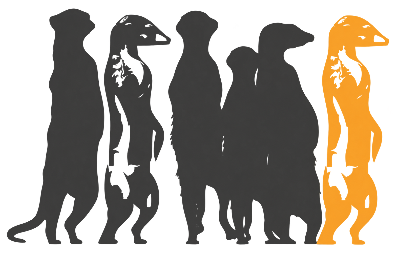 A group of charcoal meerkats with one standing out in amber